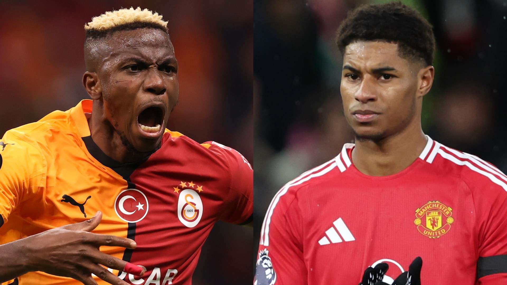 马后一鸣惊 马后一鸣惊