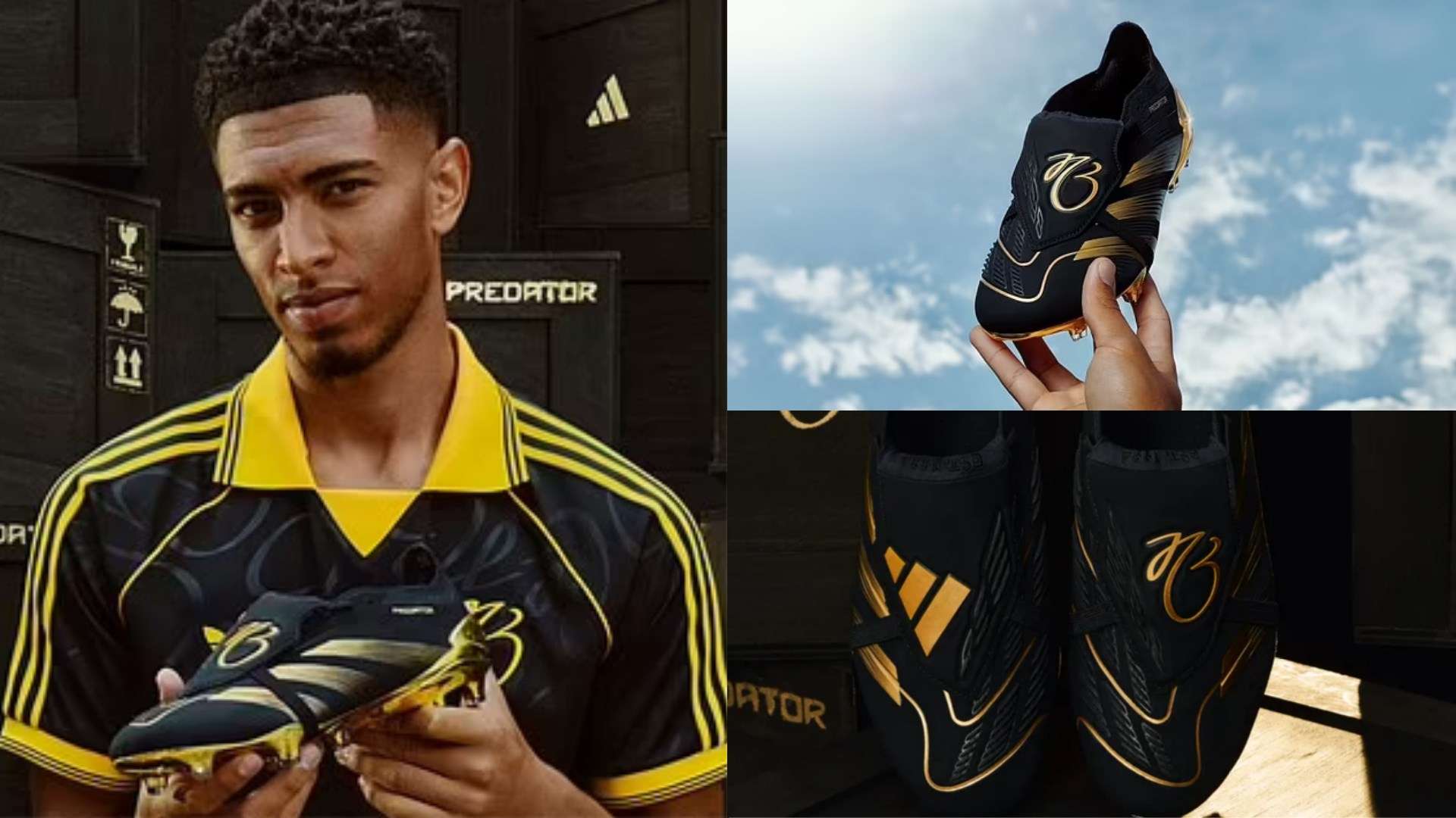 通过引入其 通过引入其